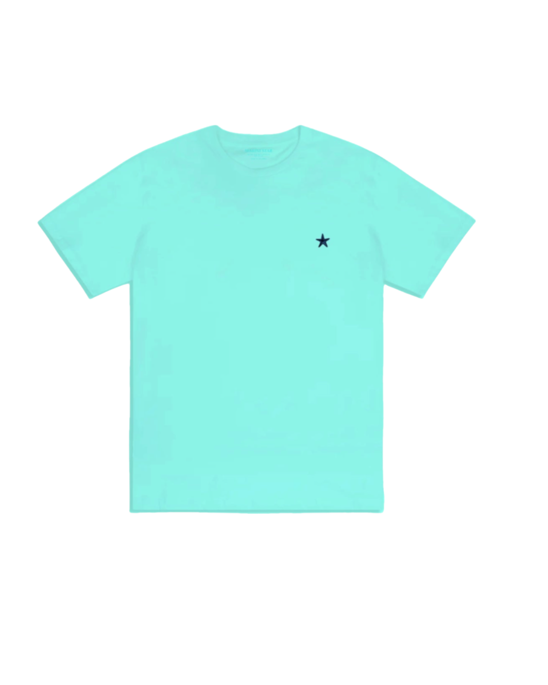 Camiseta Bordada Azul Aguamarina