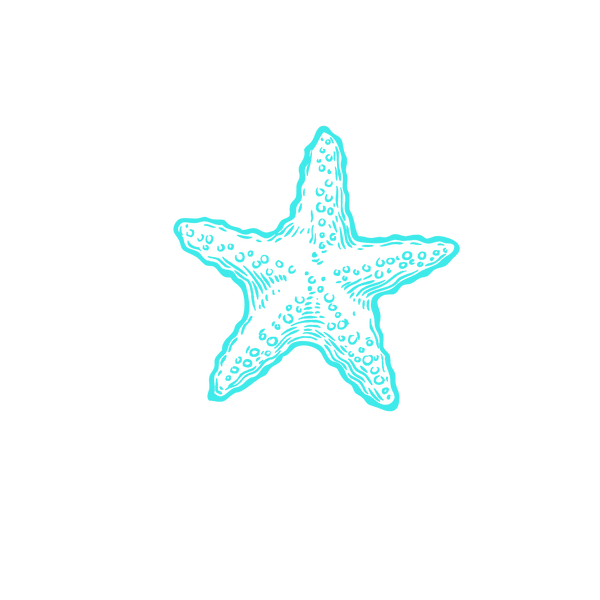 MARINI STAR